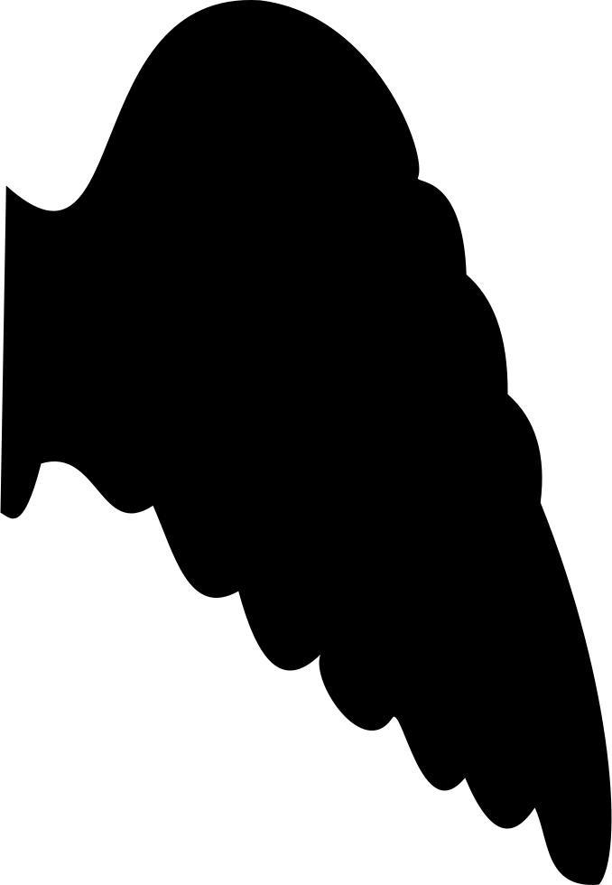 Angel S Wing Clipart (678x980), Png Download