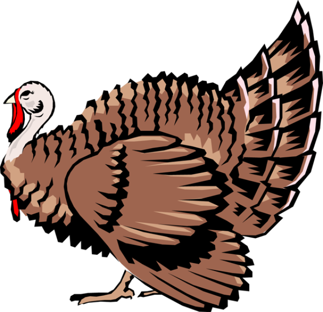 Turkey Bird Clipart Live - Farm Turkey Clipart - Png Download (639x617), Png Download