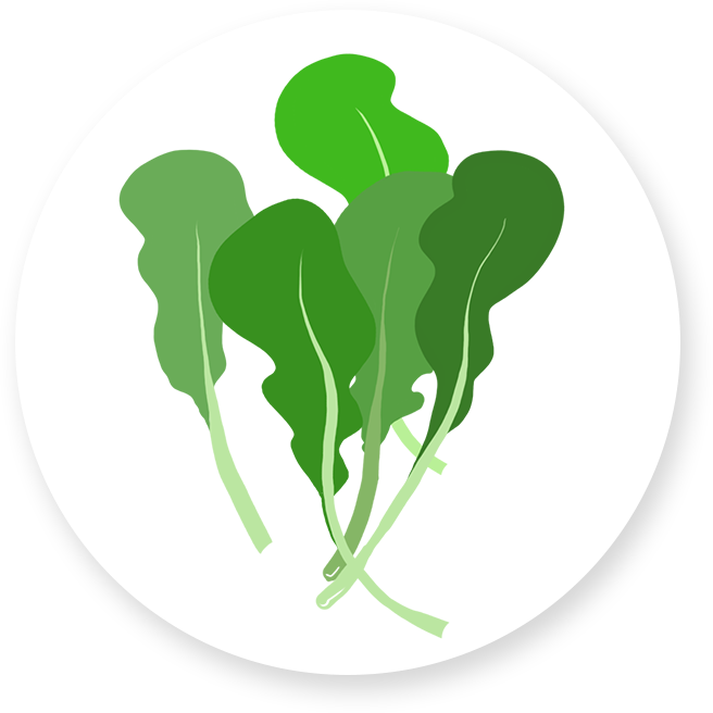 Leafy Green Animated Nutrition Background Clipart (656x656), Png Download