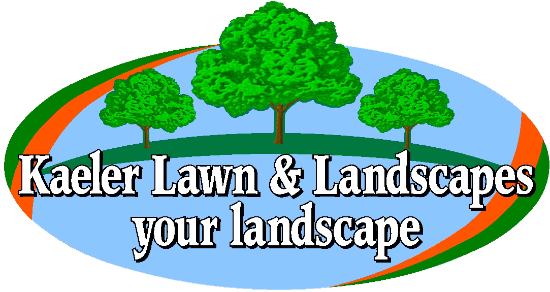 Clip Art - Png Download (1100x616), Png Download