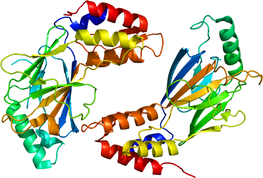 Protein Irf3 Pdb 1j2f - Interferones Animados Clipart (921x642), Png Download