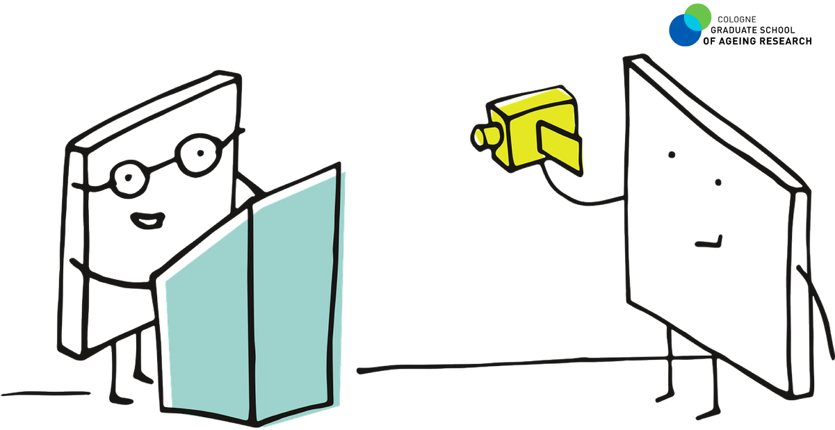 Video Clipart (1200x646), Png Download