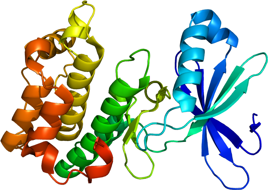 Kinase Protein Clipart (925x670), Png Download