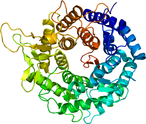 Protein Man1b1 Pdb 1fmi Clipart (657x566), Png Download