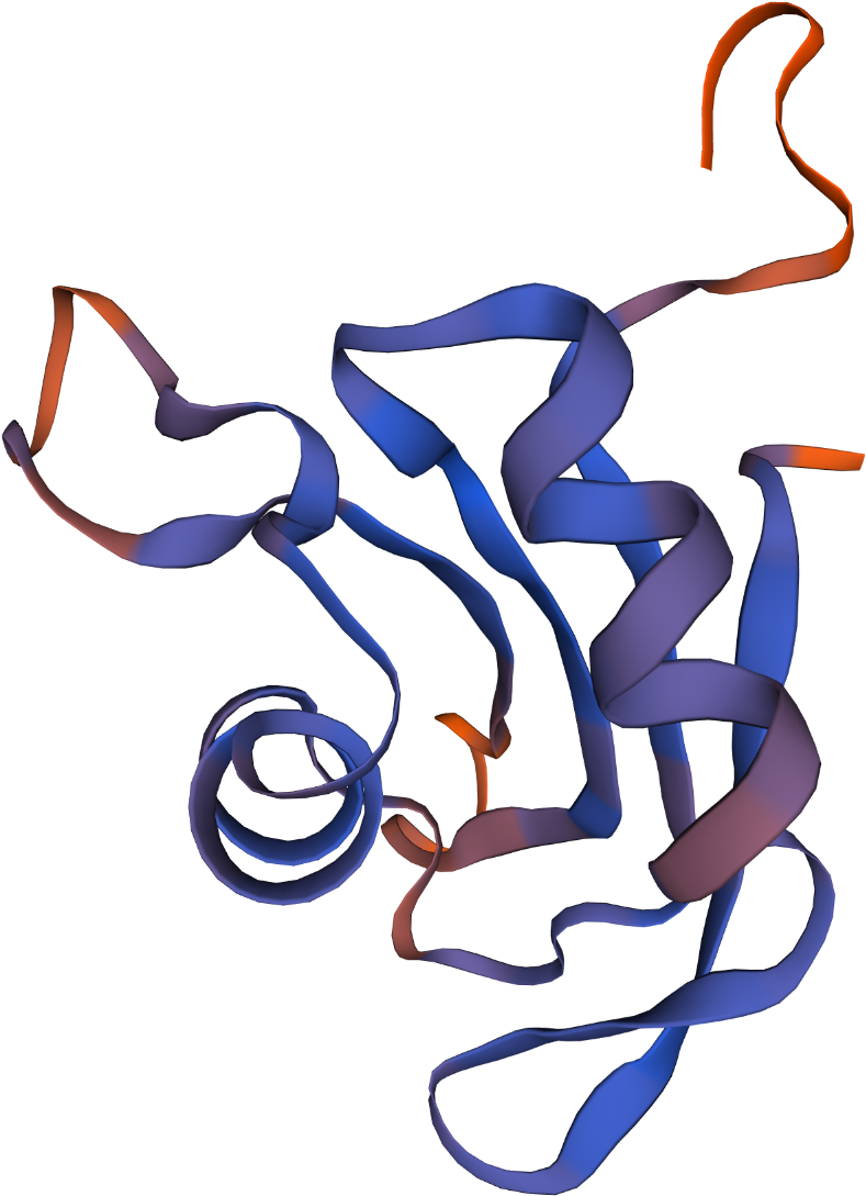 Illustration Clipart (1531x1531), Png Download