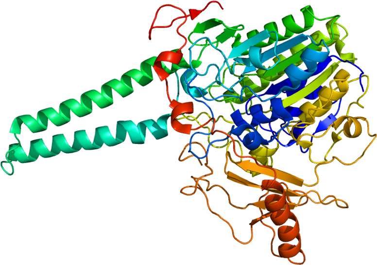 Iduronato 2 Sulfatasa Clipart (825x594), Png Download