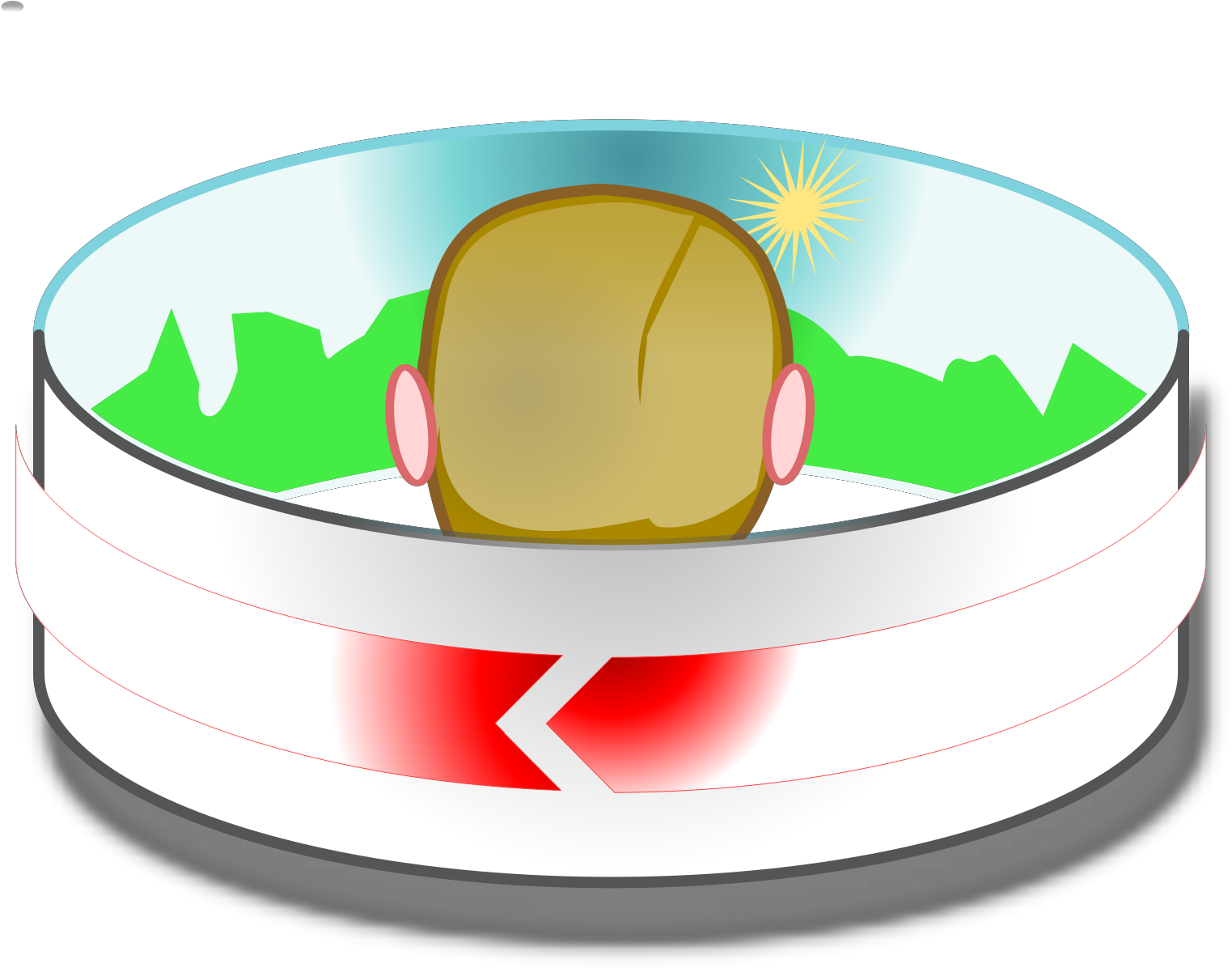 Fruit Clipart (1600x1600), Png Download