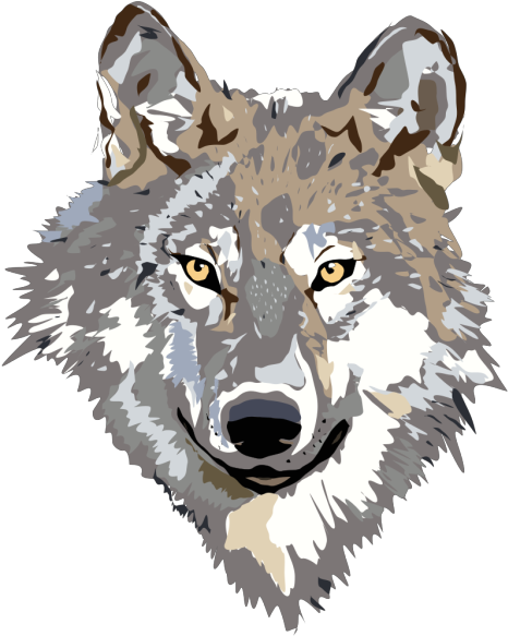 Wolf 2 Png Icons - Clipart Wolf Png Transparent Png (600x600), Png Download