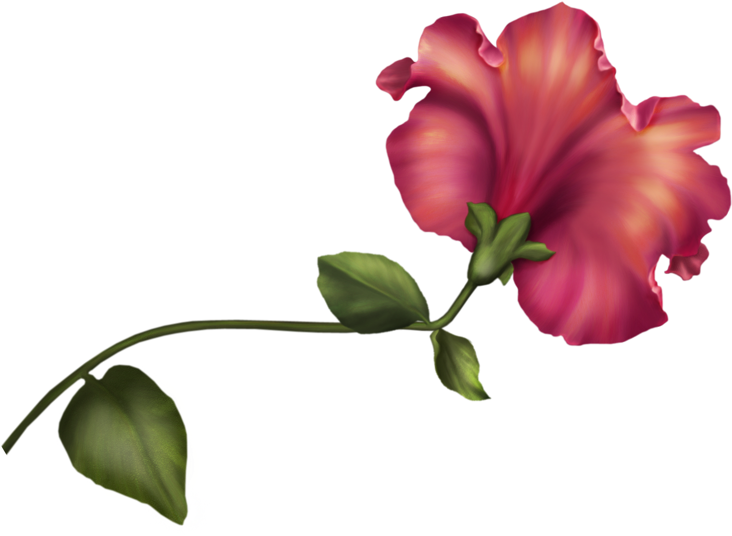 Png"s Png Flowers Watercolor Flower Clip 1342 Art Vintage - Vintage Flowers Clipart Png Transparent Png (1427x1046), Png Download