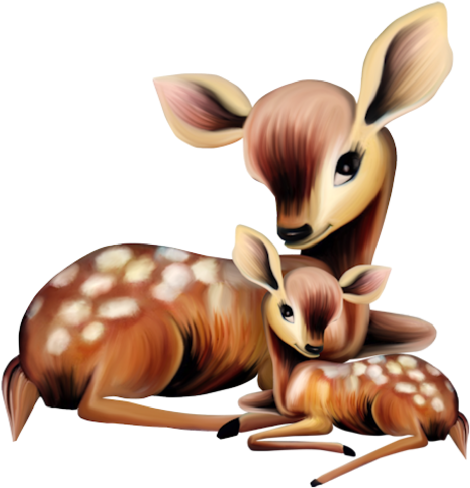 Deer With Baby Deer Clipart - Png Download (964x999), Png Download