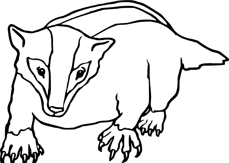 Badger Clipart Black And White - Png Download (795x567), Png Download