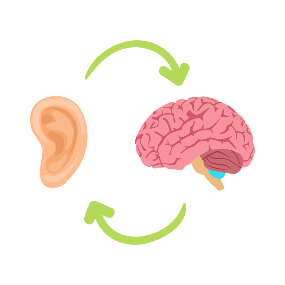 Active Listening - Illustration Clipart (1000x1000), Png Download