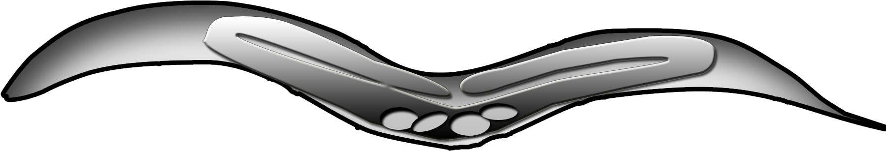 C Elegans No Background Clipart (1800x1800), Png Download