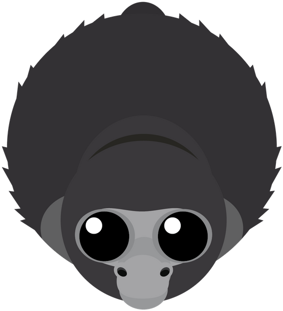 Cartoon Clipart (800x800), Png Download