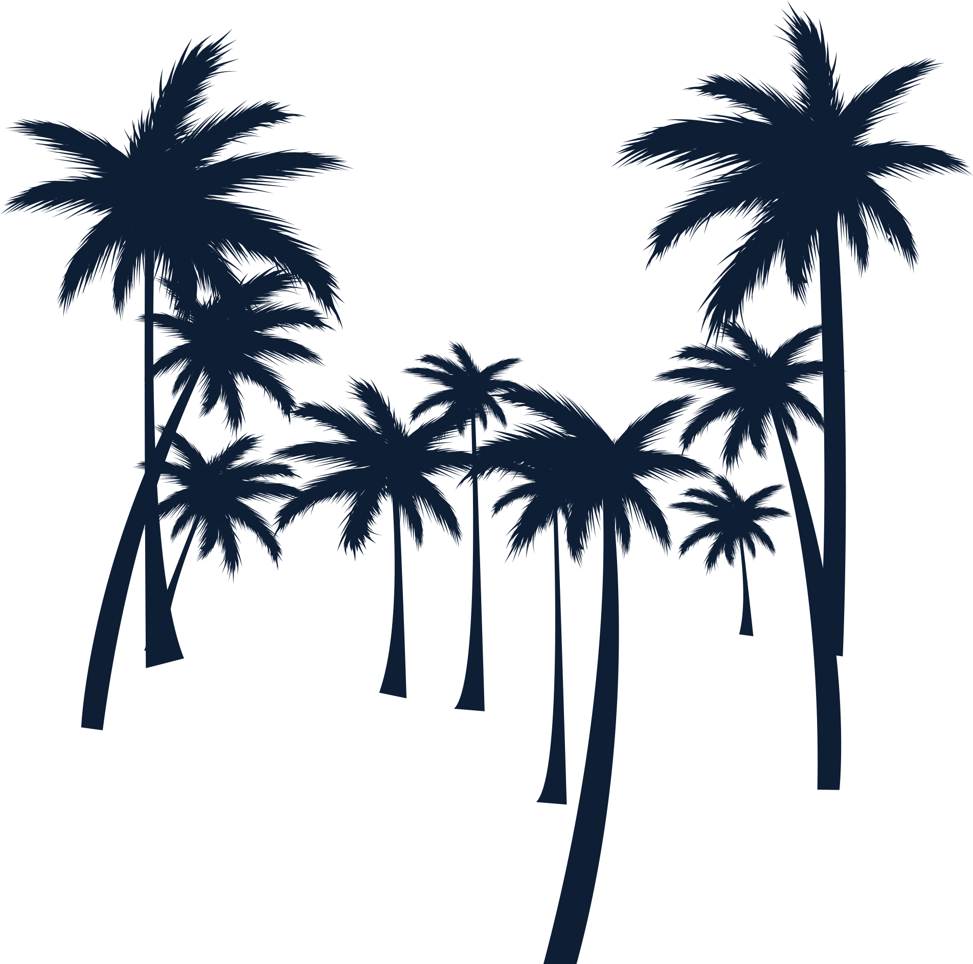 Image Drawing Portable Network Graphics Photograph - Palm Beach Drawing Silhouette Clipart (2000x2000), Png Download