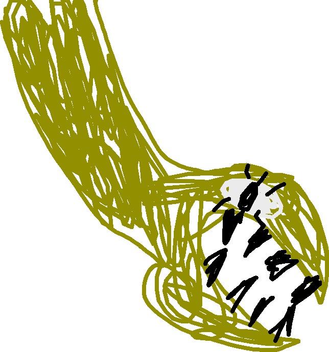 Illustration Clipart (644x690), Png Download