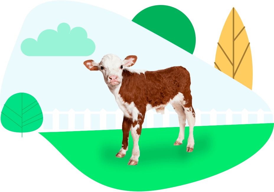 Animals - Imagen Ternera Clipart (928x653), Png Download