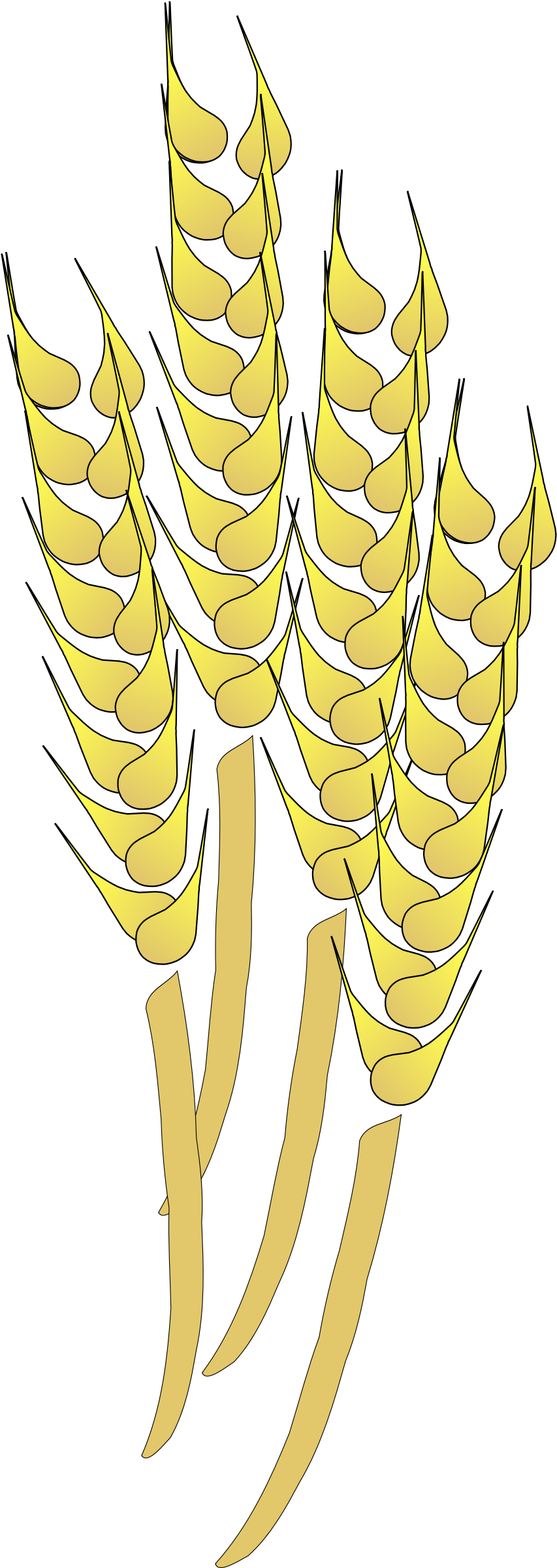 Wheat Clipart Gold Paisley - Wheat Clip Art - Png Download (2400x2400), Png Download