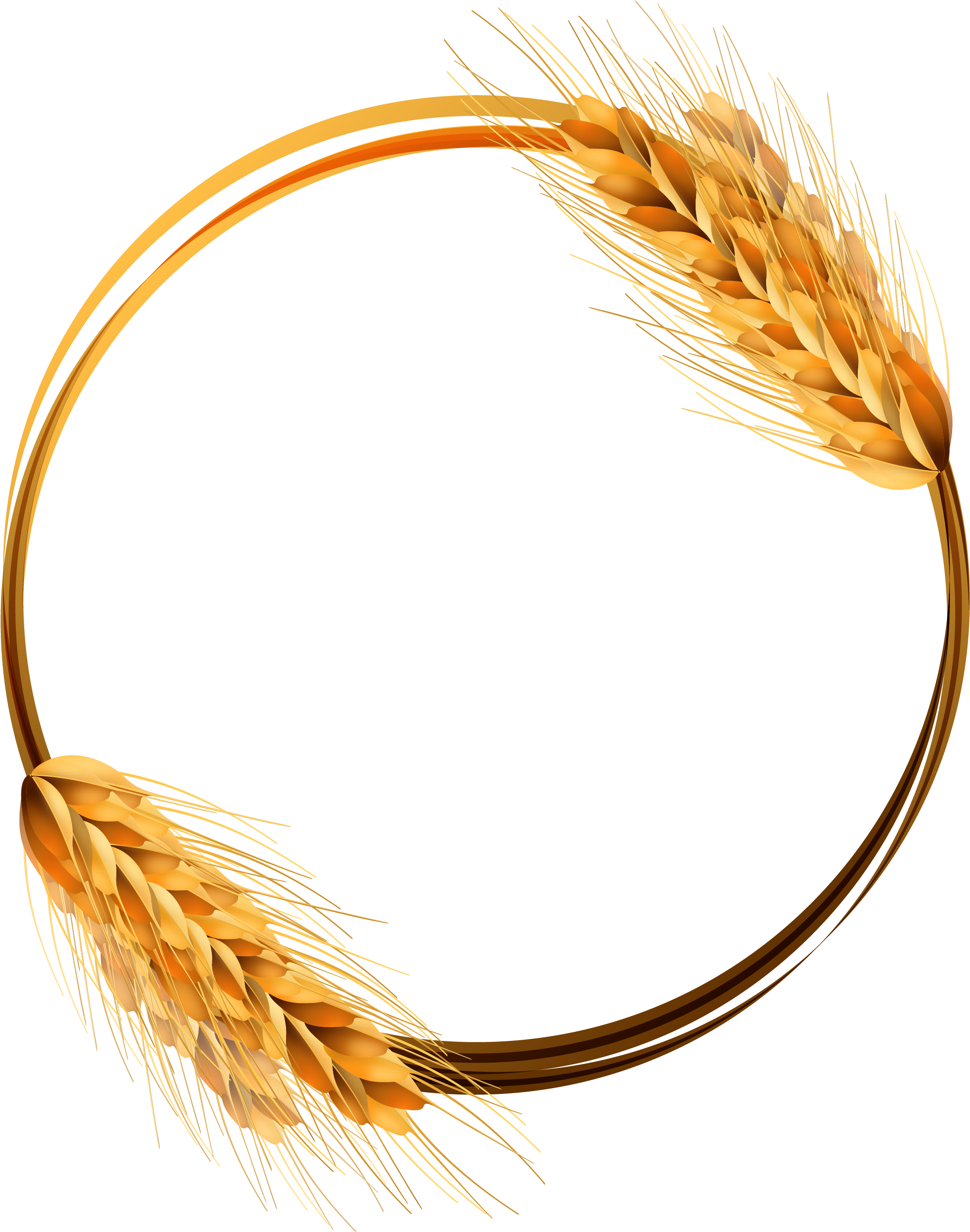 Transparent Wheat Clipart - Clipart Wheat - Png Download (2326x2953), Png Download