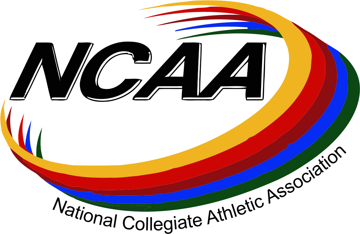 Basketball Net Vector Clipart - Png Download (1200x793), Png Download