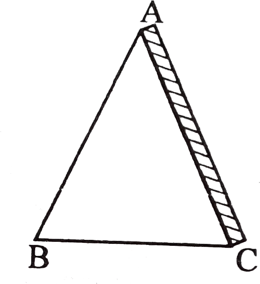 Clip Art - Png Download (544x569), Png Download