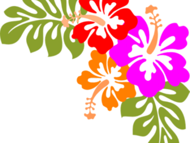 Tropical Hawaiian Flowers Clip Art - Png Download (640x480), Png Download