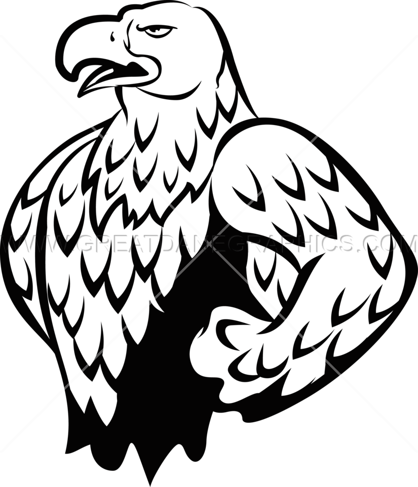 Cartoon Eagle Images - Bald Eagle Clipart (825x962), Png Download