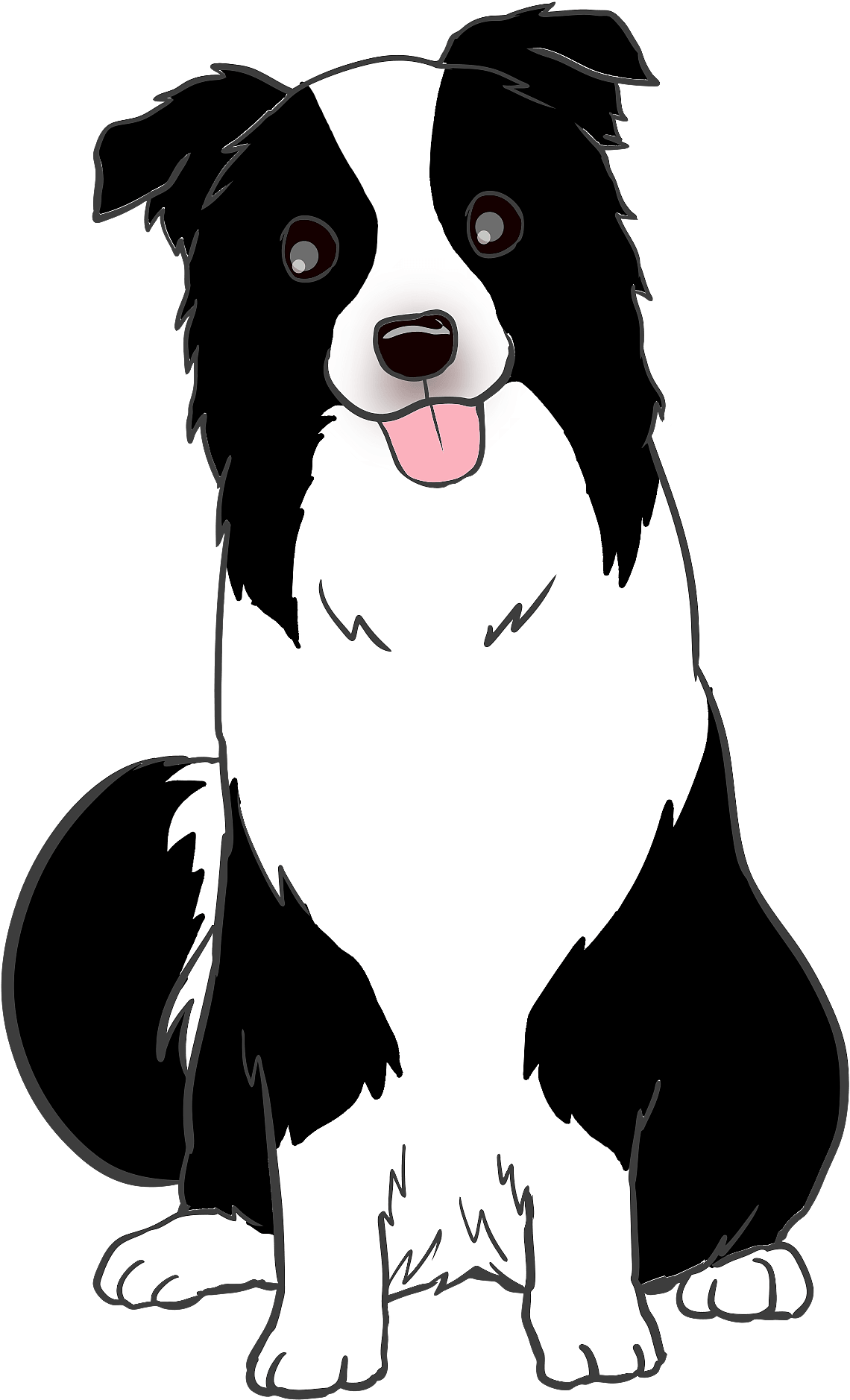 Clip Art Border Collie Png Transparent Png (1205x1920), Png Download
