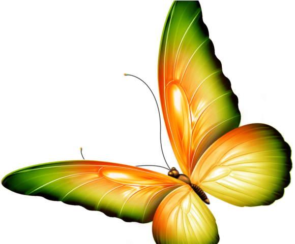 Orange And Green Butterfly Clipart (640x480), Png Download