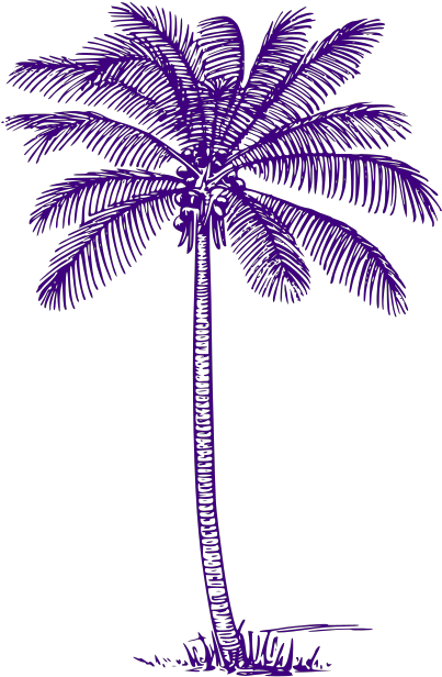 Palm Tree Svg Clip Arts - Palm Tree Outline Transparent - Png Download (1024x1024), Png Download