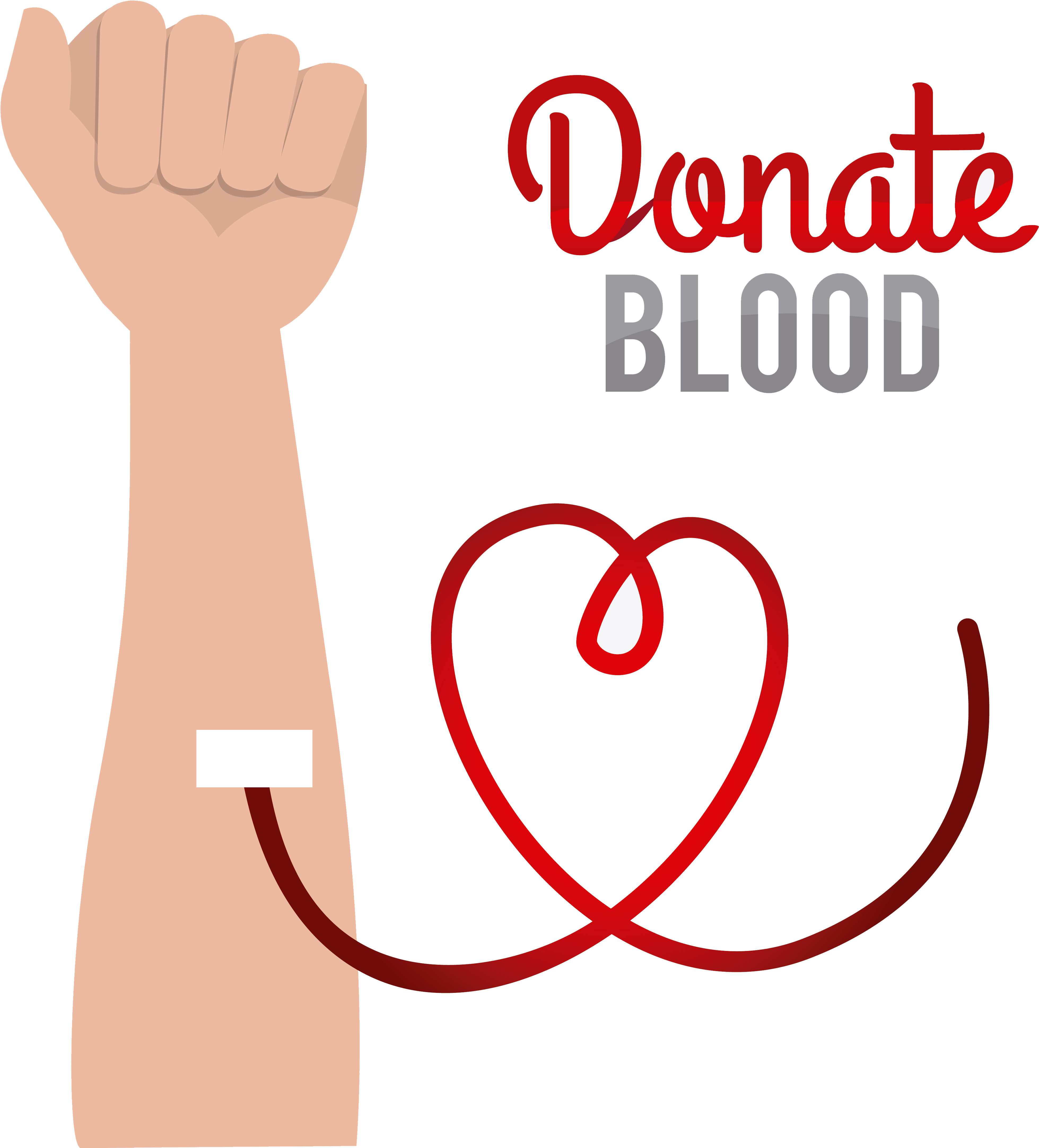 Blood Donation Transparent Background - Illustration Clipart (800x762), Png Download
