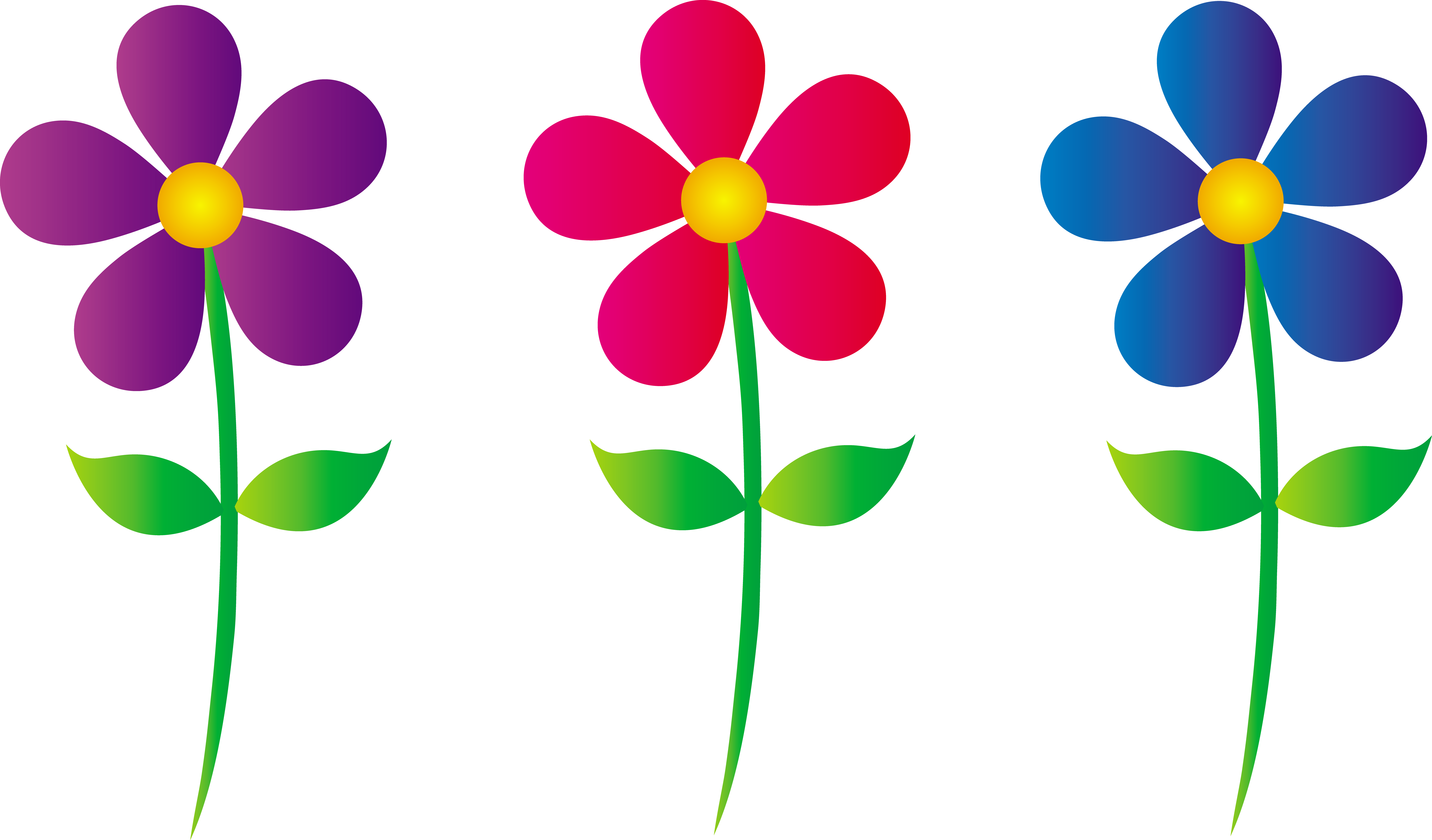 Flowers Clipart Transparent Background - Png Download (7747x4545), Png Download