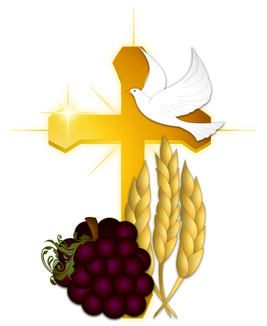 Illustration Clipart (1080x1080), Png Download