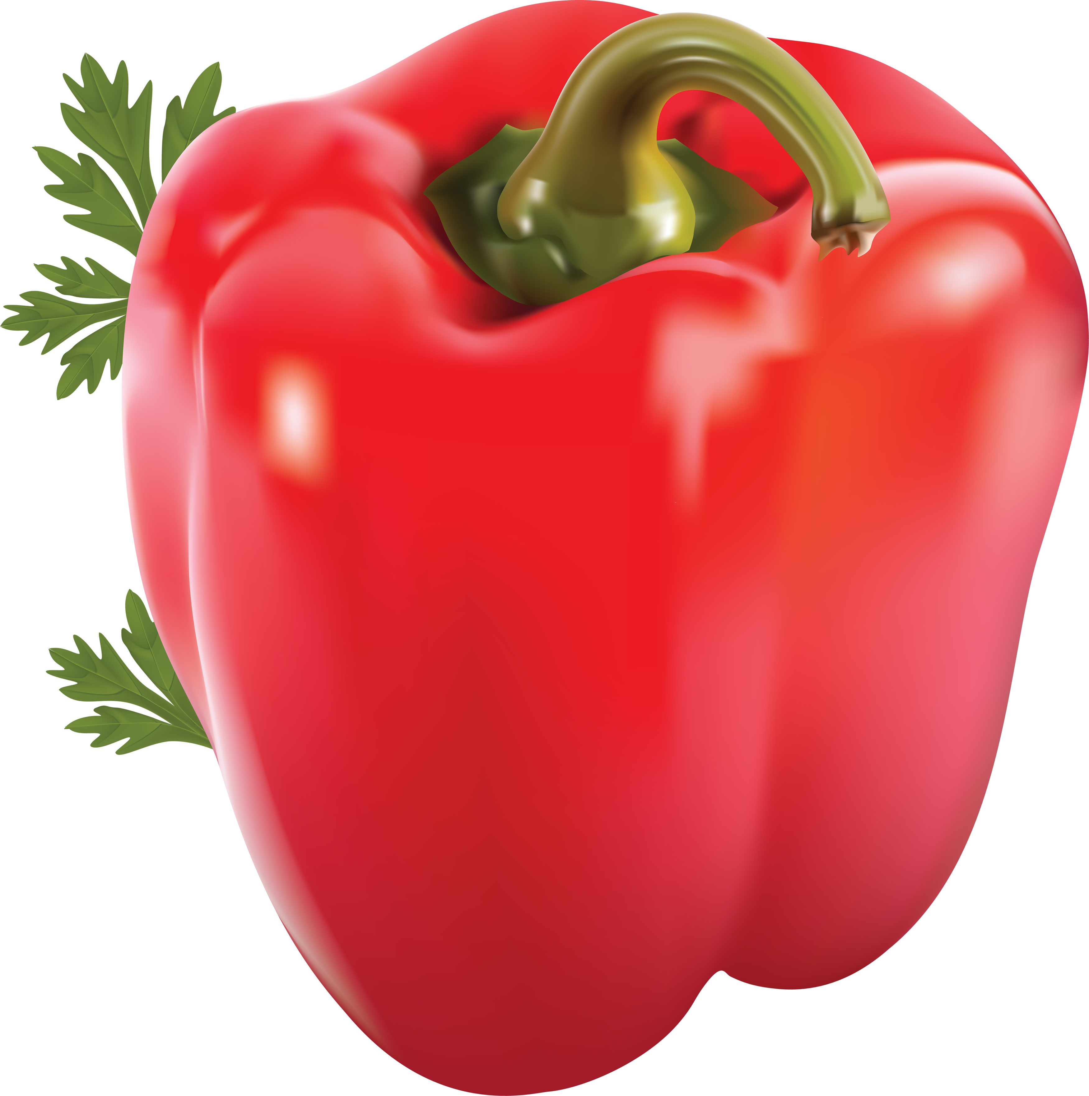 Best Free Pepper Transparent Png File - Red Sweet Pepper Png Clipart (3501x3524), Png Download