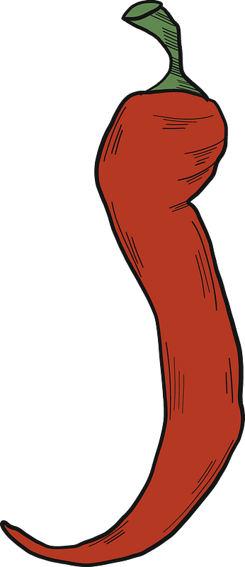 Chilli Pepper Clipart - Png Download (346x800), Png Download