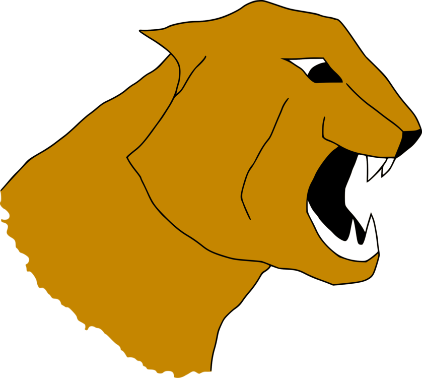 Art,carnivoran,yellow - Cabeza Puma Png Clipart (838x750), Png Download