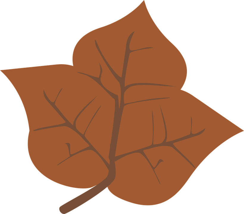 Yellow, Leaves, Free Illustrations, September, Colorful - Illustration Clipart (820x720), Png Download