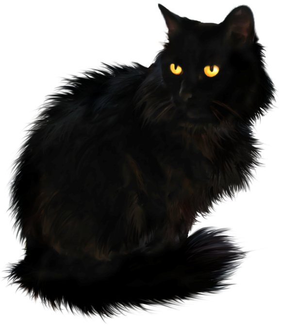 Persian Cat British Longhair Maine Coon Portable Network - British Longhair Cat Black Clipart (613x700), Png Download