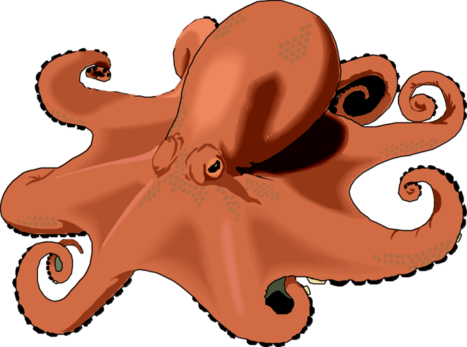 Free Octopus Clipart - Clipart Of An Octopus - Png Download (675x502), Png Download