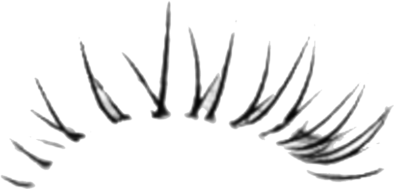 Mascara Lashes Png Image Background - Eyelashes Png For Photoshop Clipart (920x466), Png Download