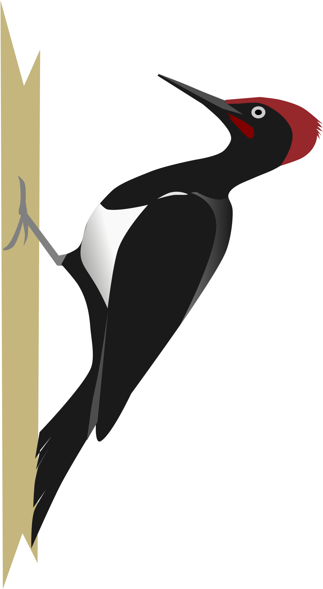 Woodpecker Png Clipart (2000x2000), Png Download