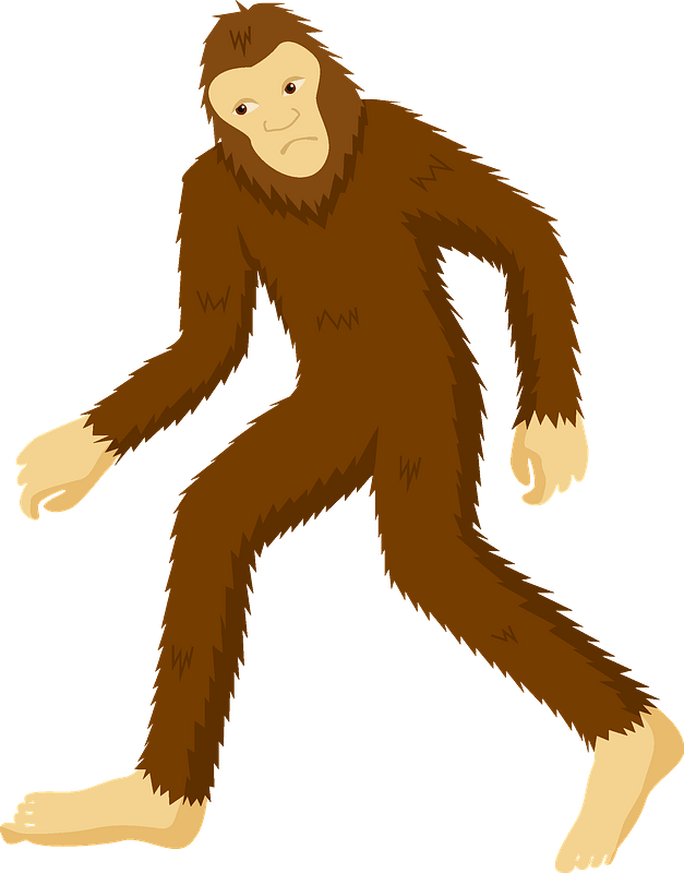 Bigfoot Clipart - New World Monkey - Png Download (627x800), Png Download