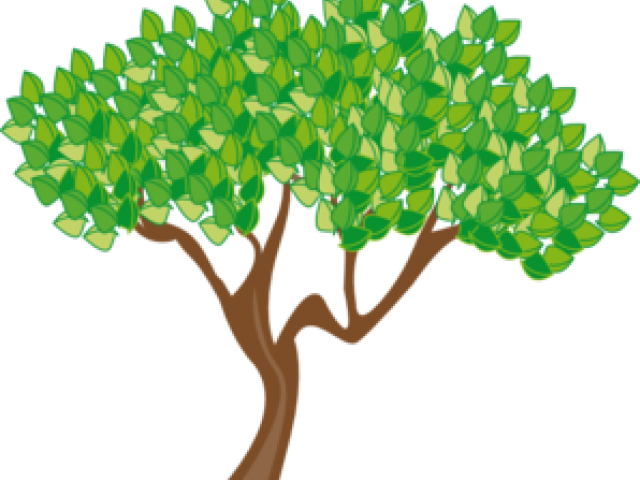 Cartoon Tree Transparent Background Clipart (640x480), Png Download
