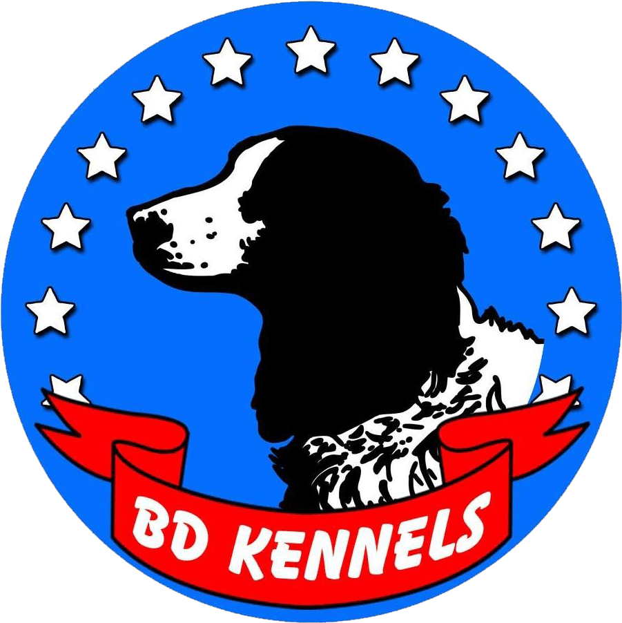 Bd Kennels Clipart (960x960), Png Download