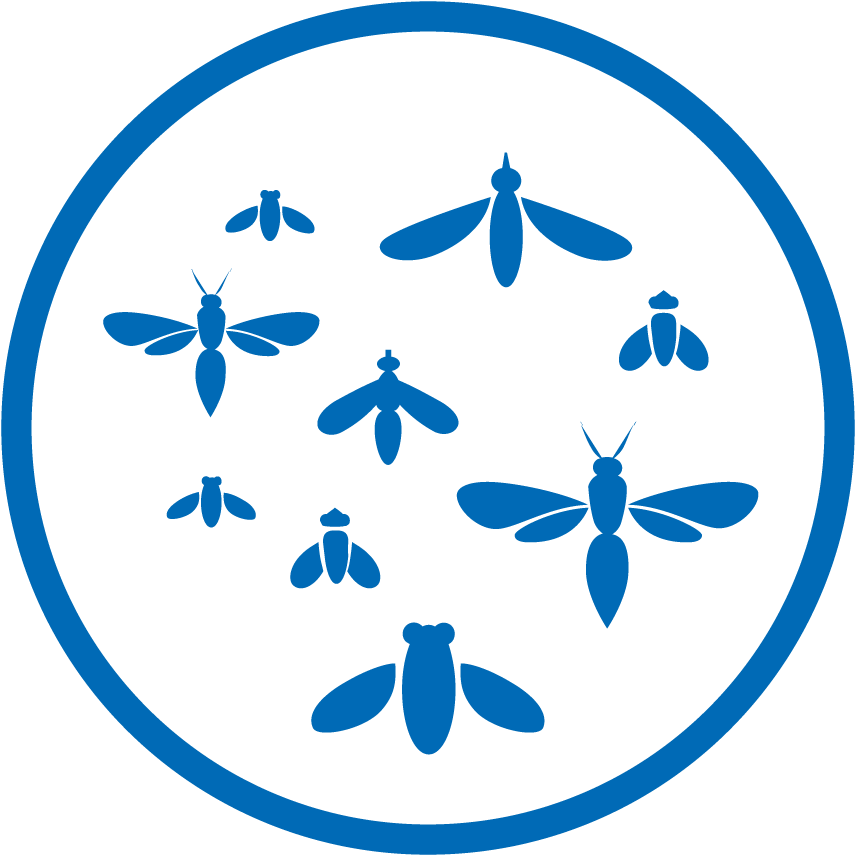 Insect Repellent Clipart (1000x1000), Png Download