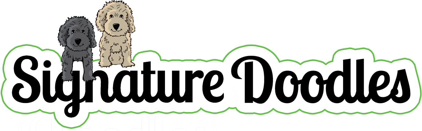 Signature Doodles - Dog Catches Something Clipart (1500x446), Png Download