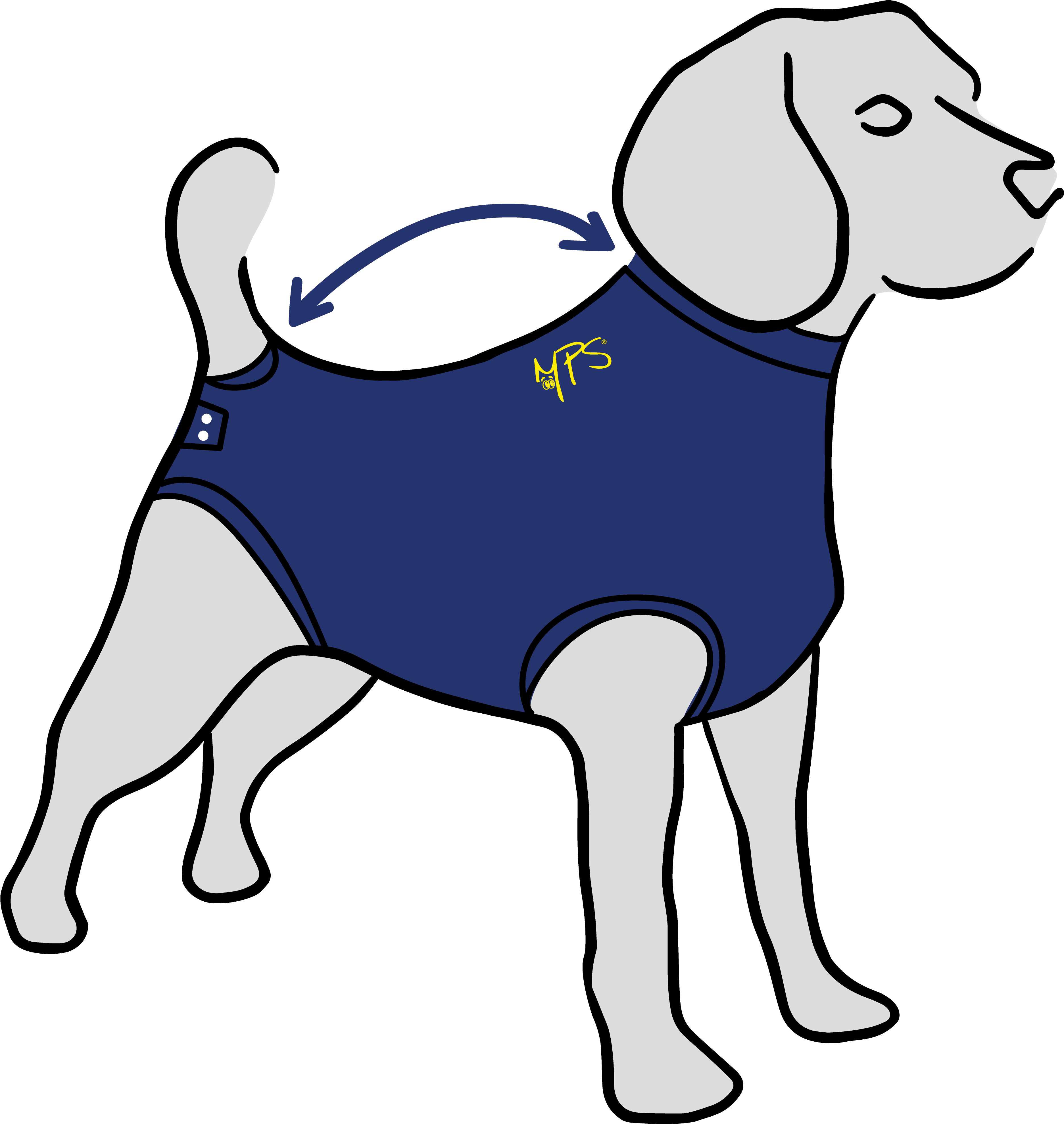 Dog Catches Something Clipart (4135x4135), Png Download