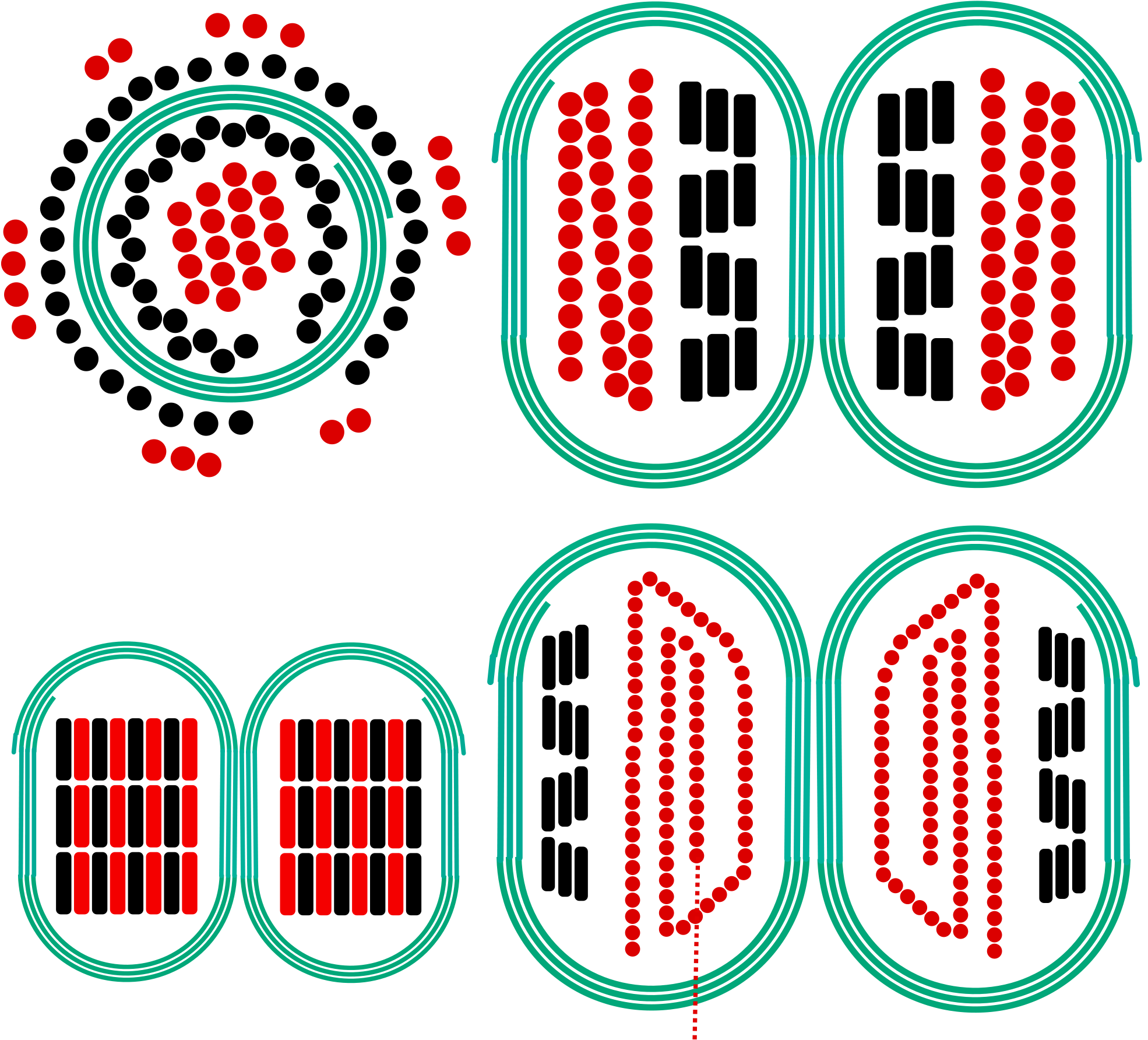 Transformer Clip File - Toroidal Transformer Silicon Steel Core - Png Download (2000x1818), Png Download