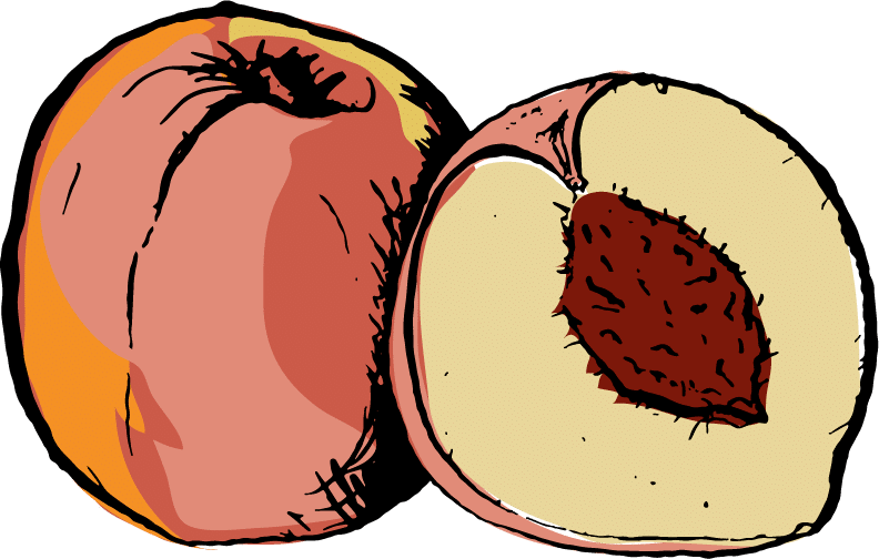 Clip Art - Png Download (792x504), Png Download