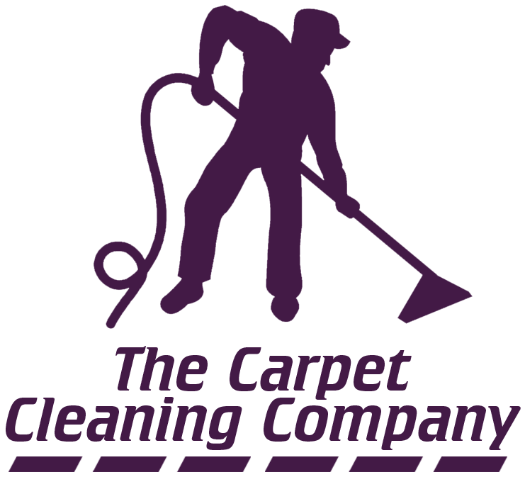 Clean Vector Carpet Cleaning - Carpet Cleaning Company Logo Clipart (799x758), Png Download